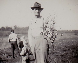 Oklahoma cotton 1946