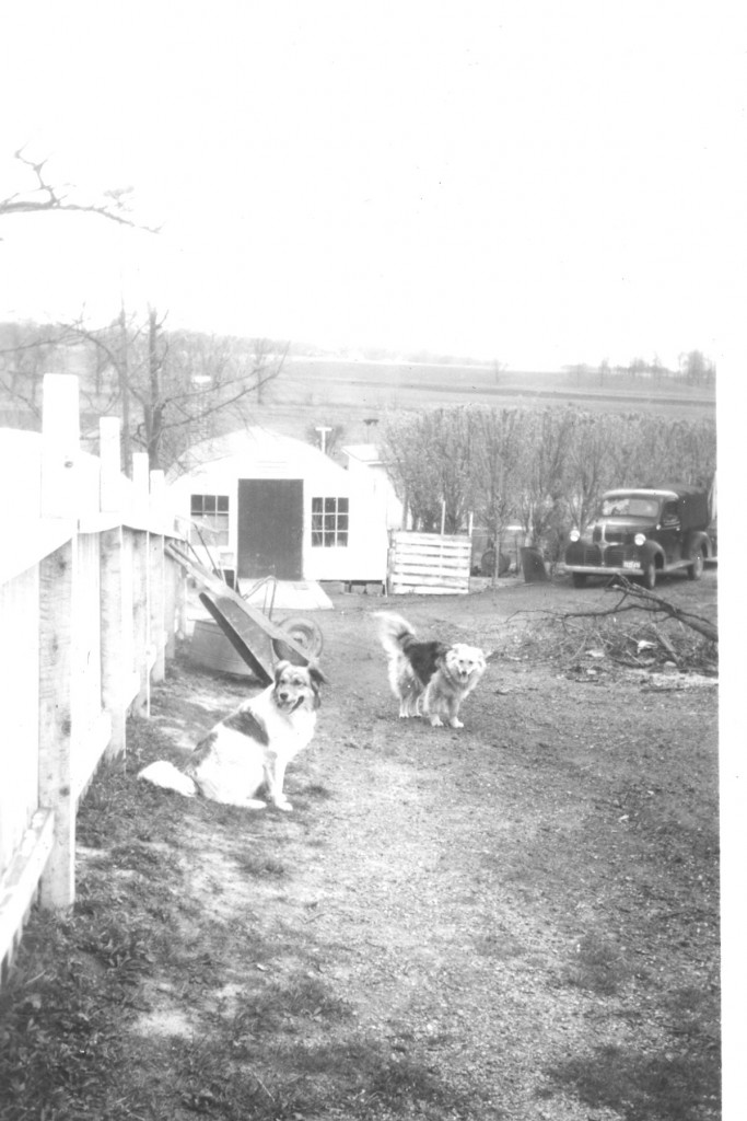 1952 NORTH END OF QUONSET